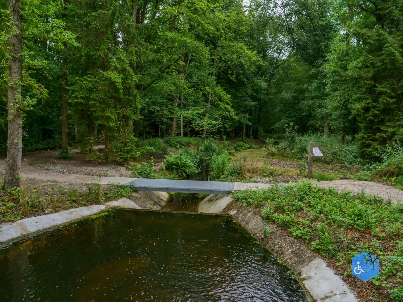 Marknesse_Waterloopbos_06-07-2025-079