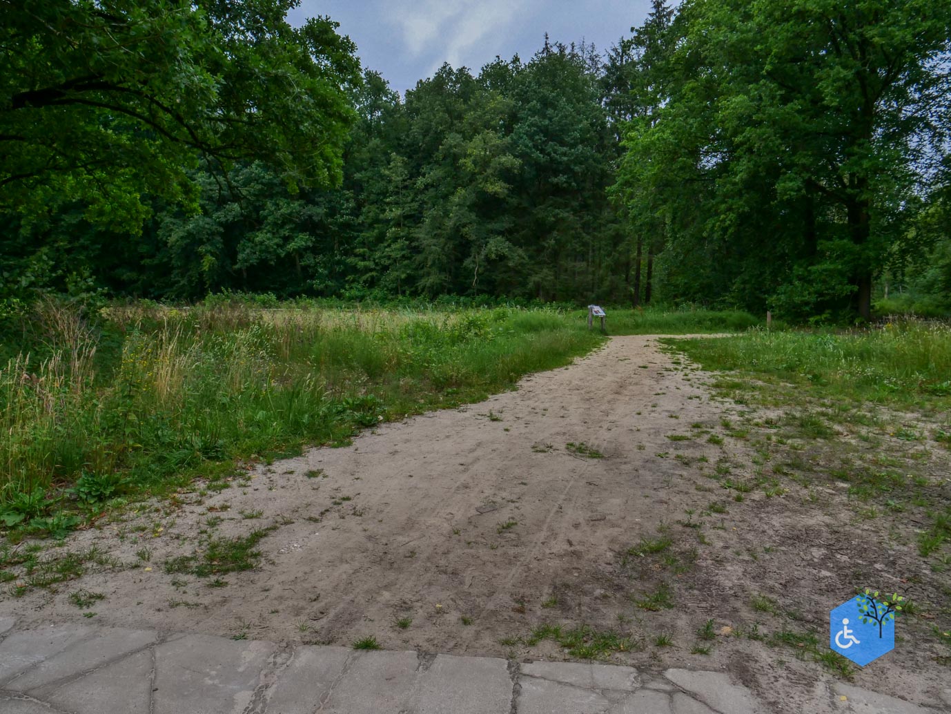 Marknesse_Waterloopbos_06-07-2025-082