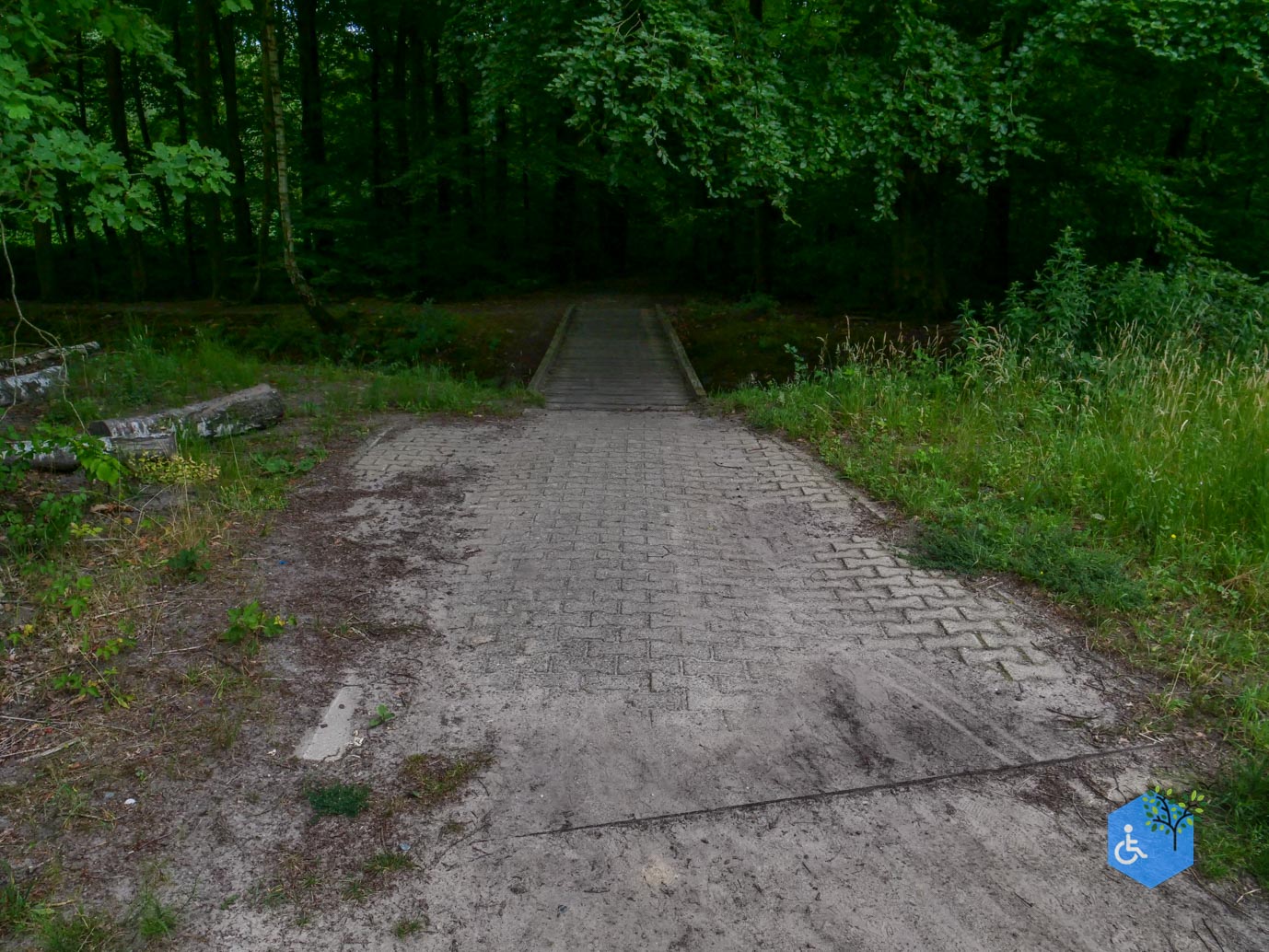 Marknesse_Waterloopbos_06-07-2025-083