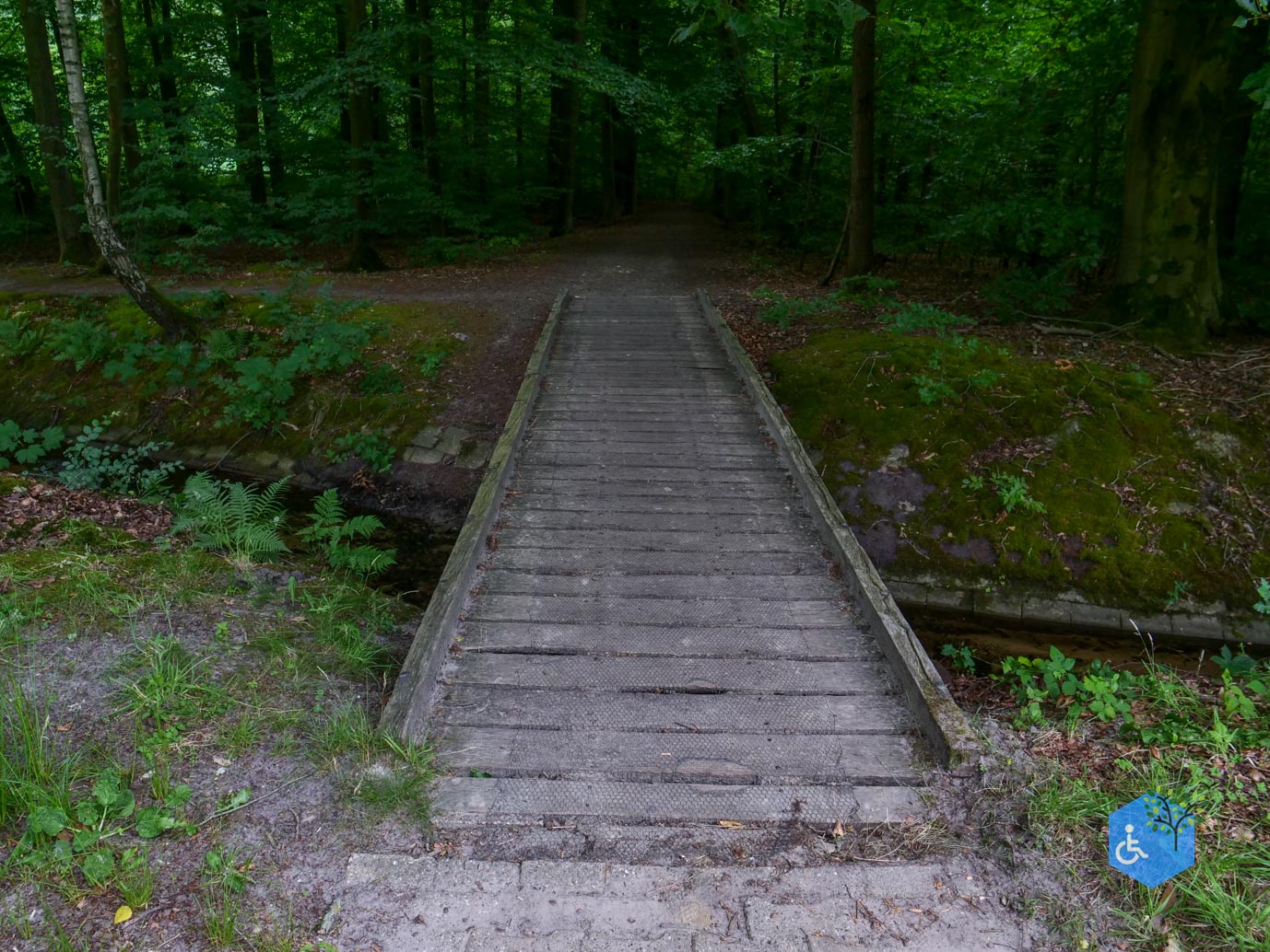 Marknesse_Waterloopbos_06-07-2025-084