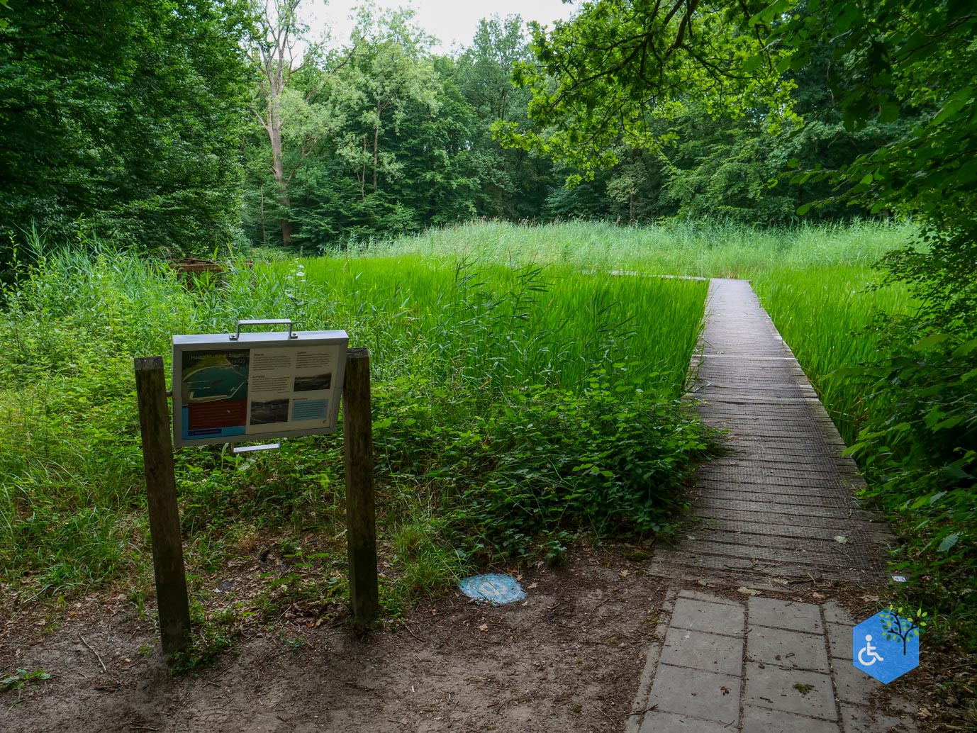 Marknesse_Waterloopbos_06-07-2025-090