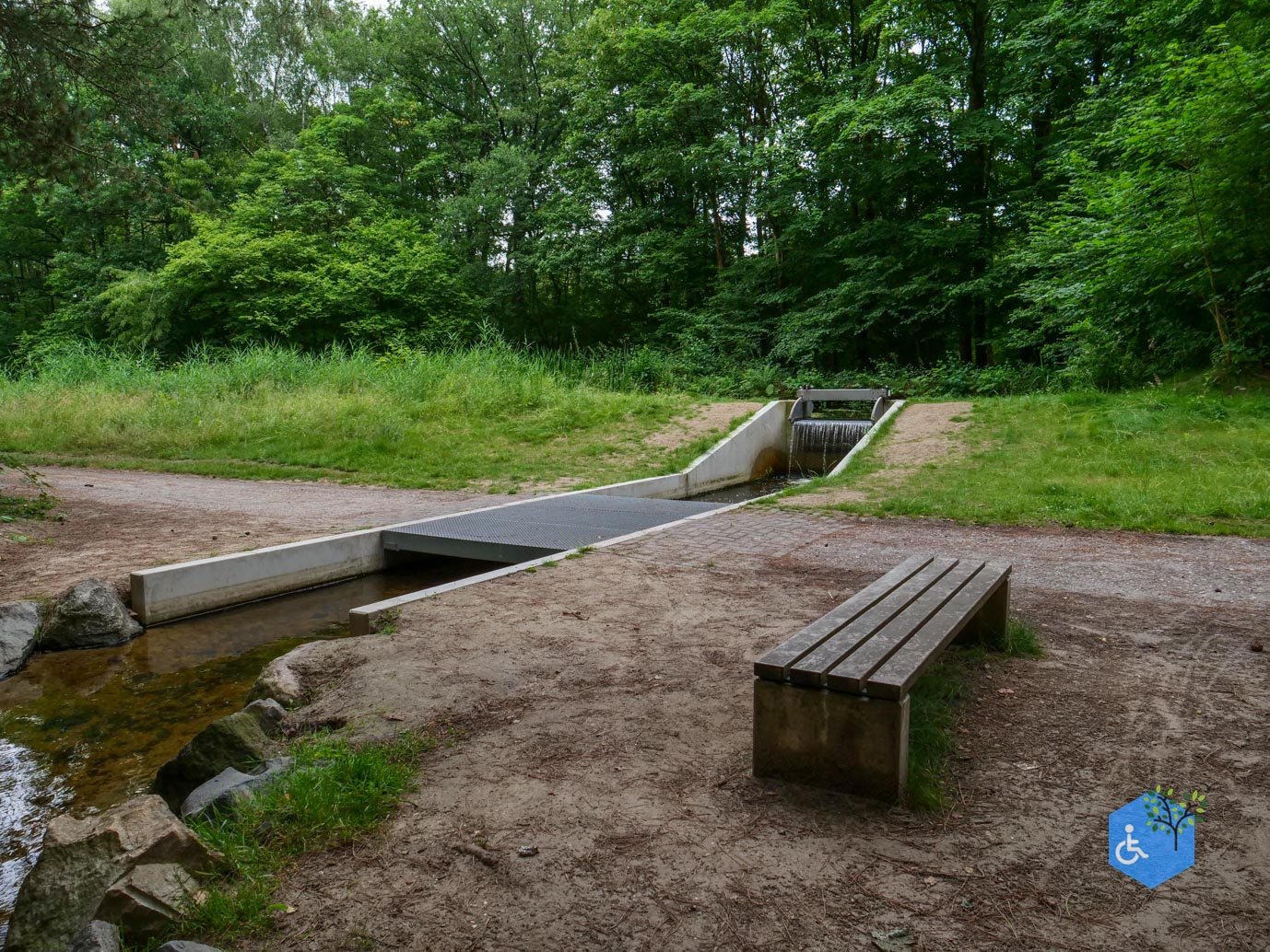 Marknesse_Waterloopbos_06-07-2025-096