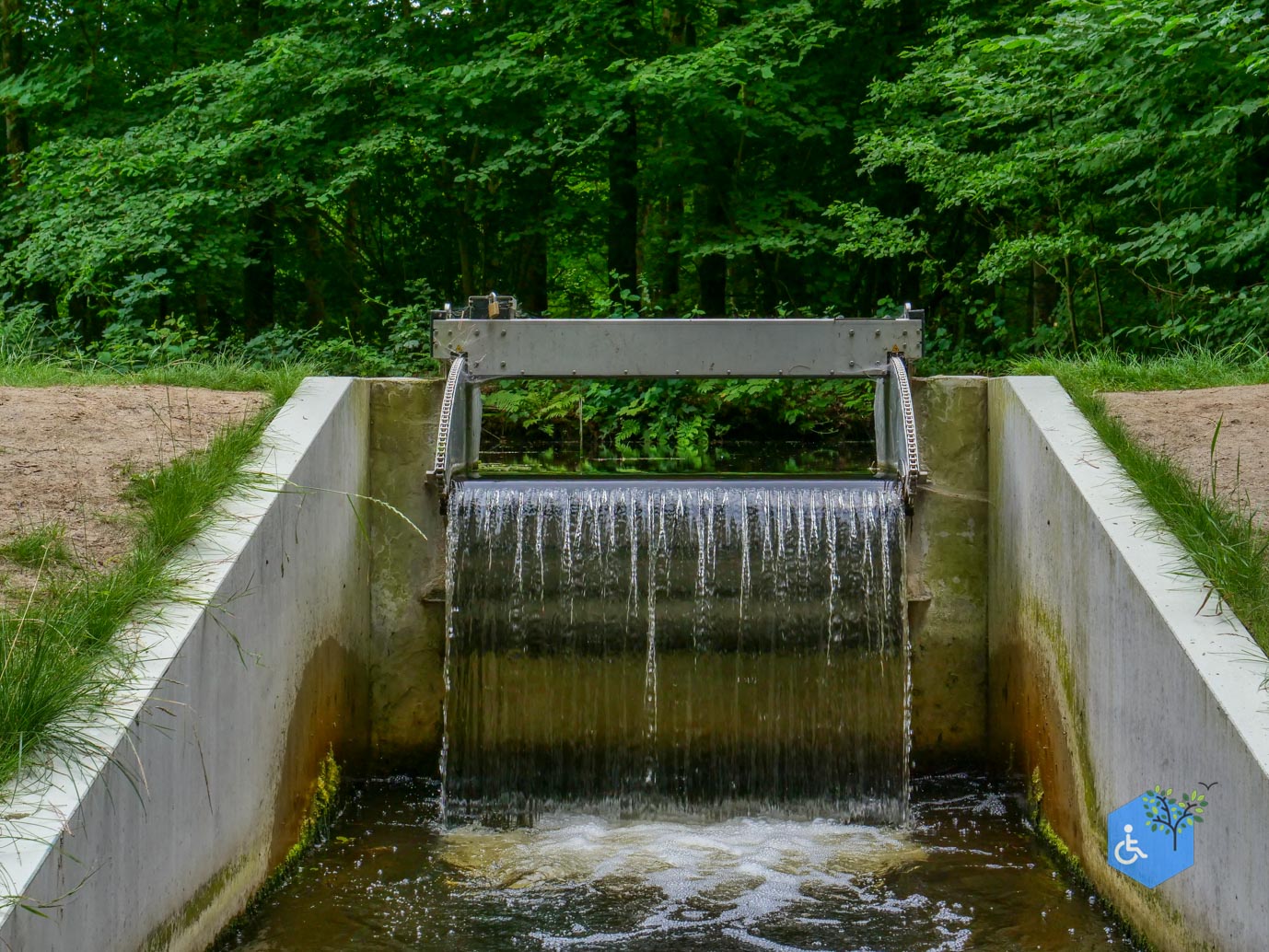 Marknesse_Waterloopbos_06-07-2025-099