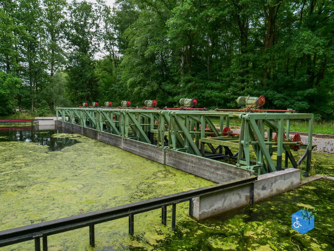 Marknesse_Waterloopbos_06-07-2025-102