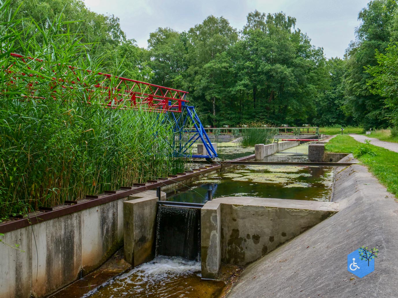 Marknesse_Waterloopbos_06-07-2025-105