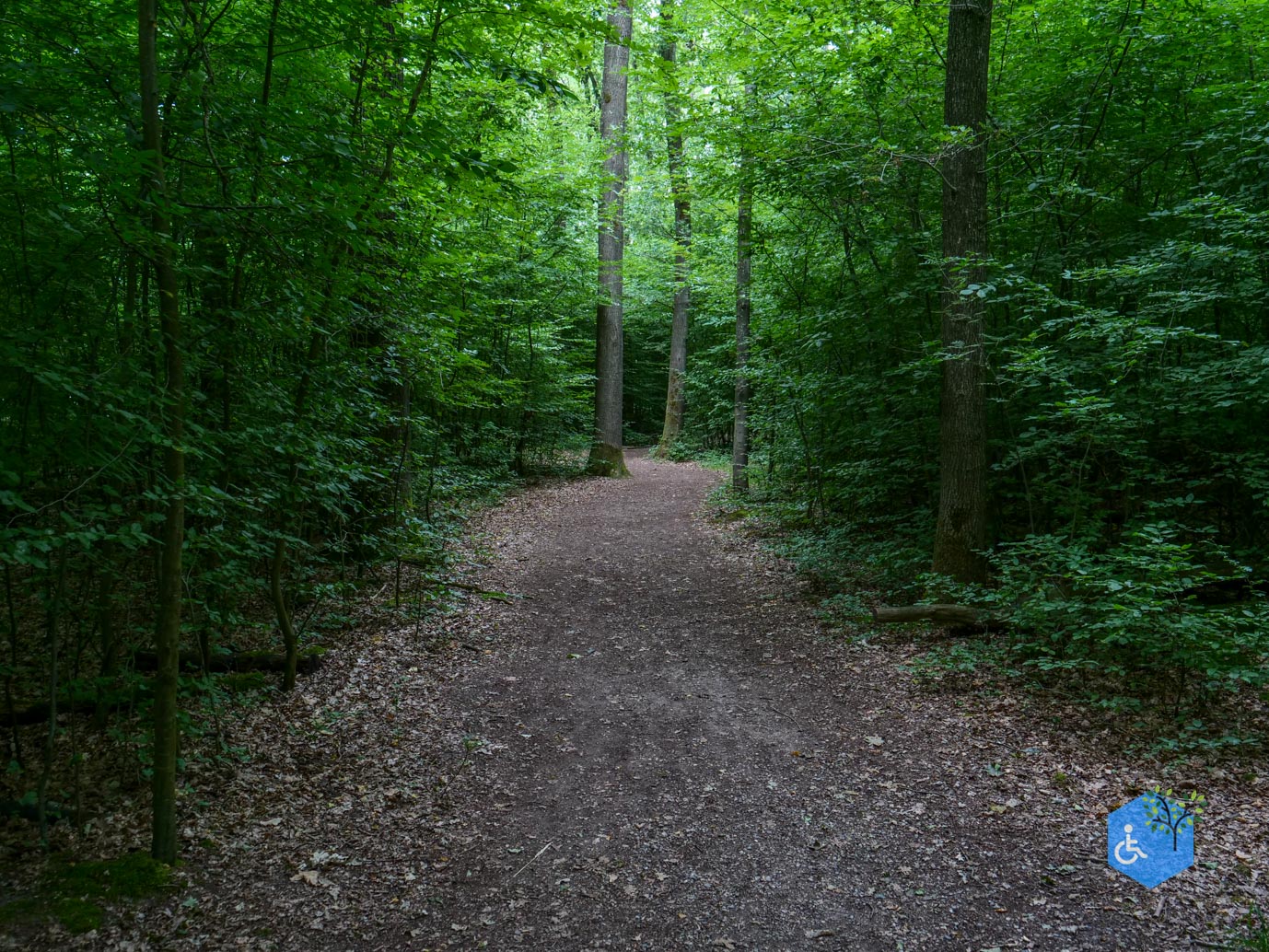 Marknesse_Waterloopbos_06-07-2025-106