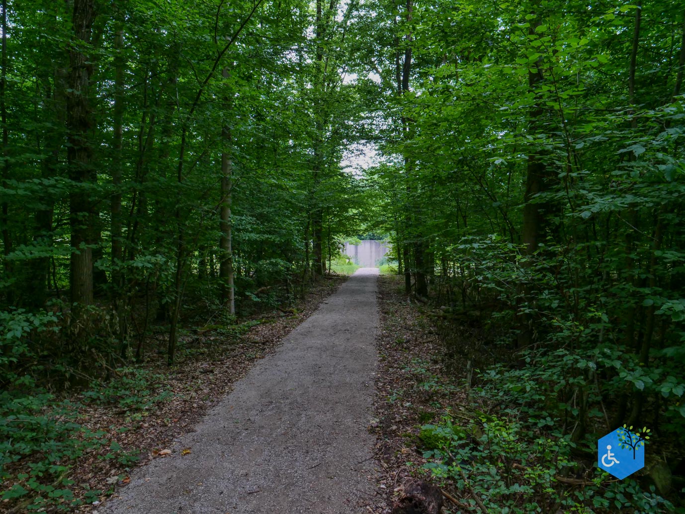 Marknesse_Waterloopbos_06-07-2025-109