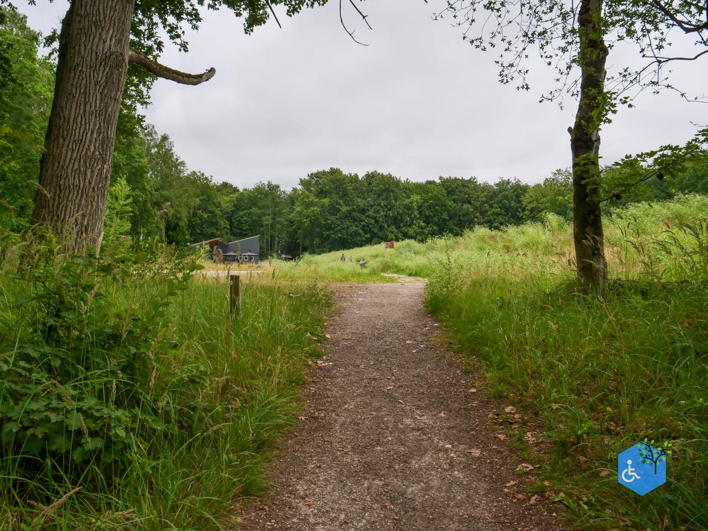 Marknesse_Waterloopbos_06-07-2025-115