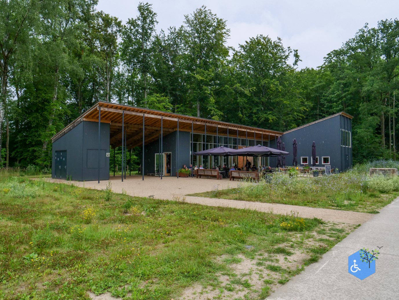 Marknesse_Waterloopbos_06-07-2025-117