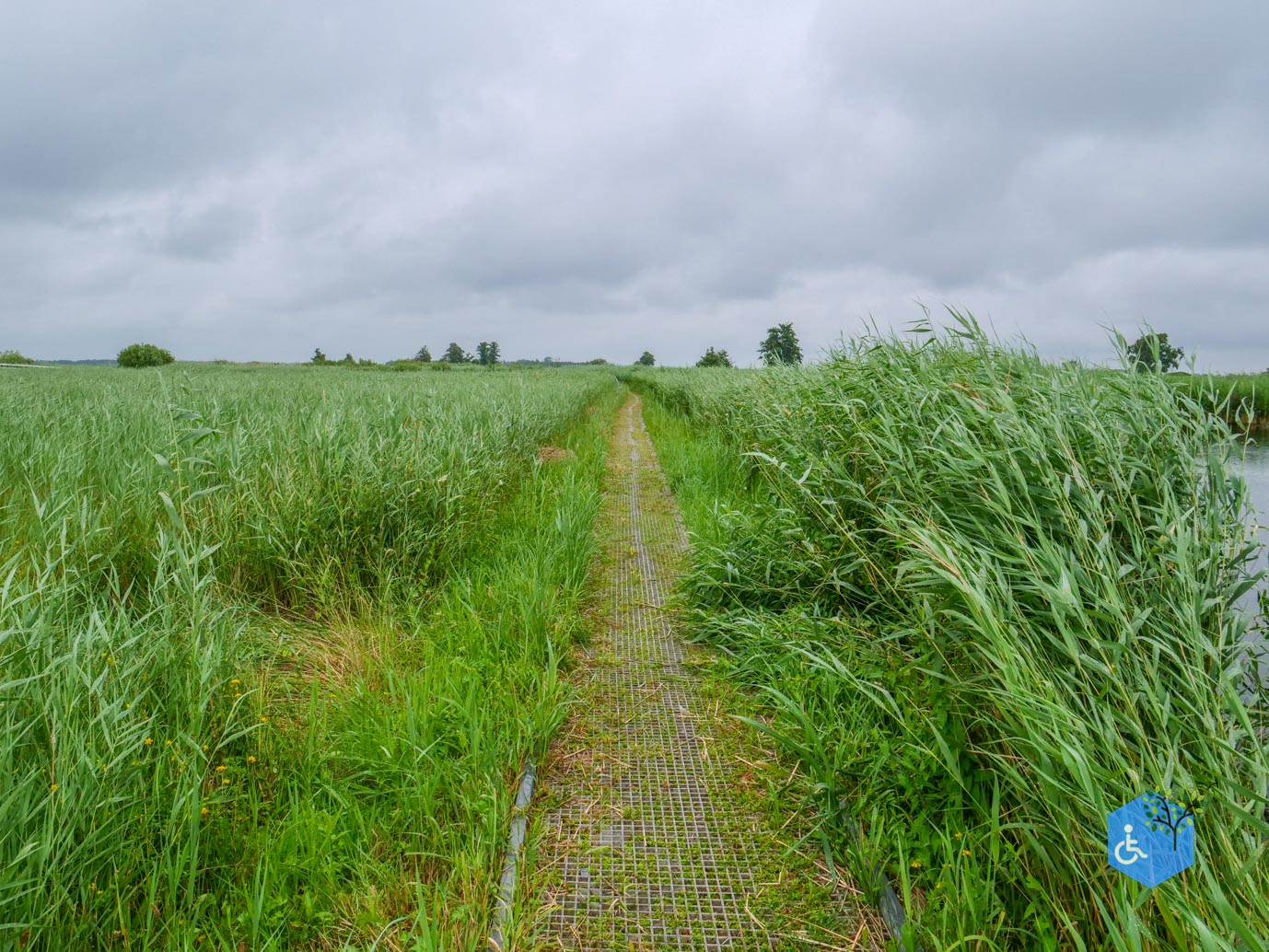 Sint_Jansklooster_Vlonderpad_de_Wieden_06-07-2025-11