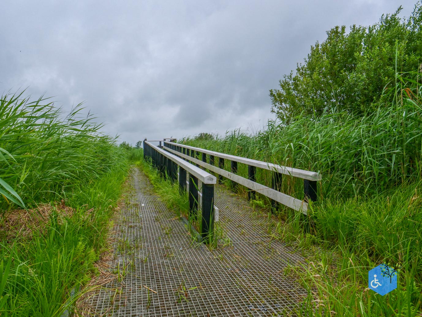 Sint_Jansklooster_Vlonderpad_de_Wieden_06-07-2025-13