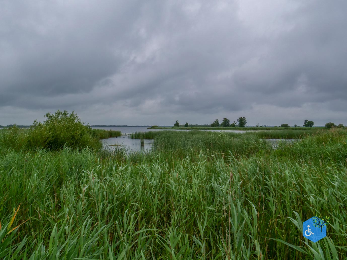 Sint_Jansklooster_Vlonderpad_de_Wieden_06-07-2025-17