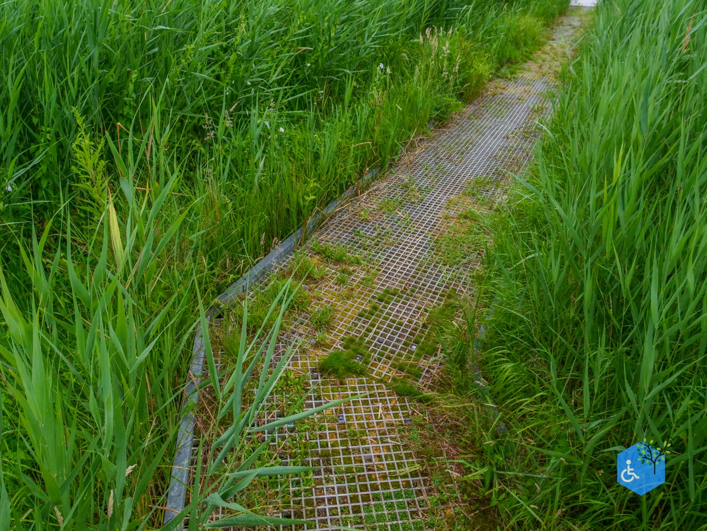 Sint_Jansklooster_Vlonderpad_de_Wieden_06-07-2025-18