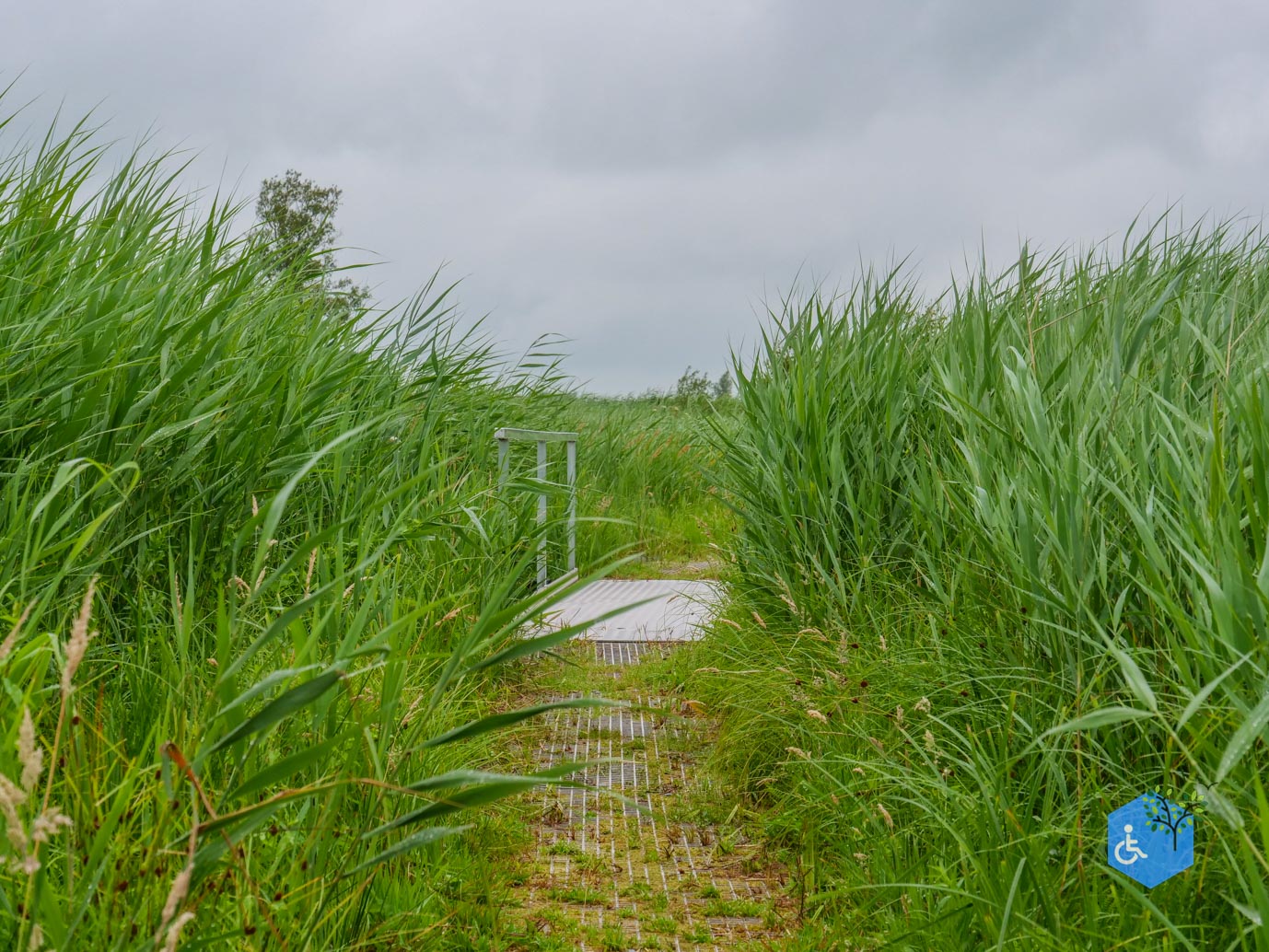 Sint_Jansklooster_Vlonderpad_de_Wieden_06-07-2025-19