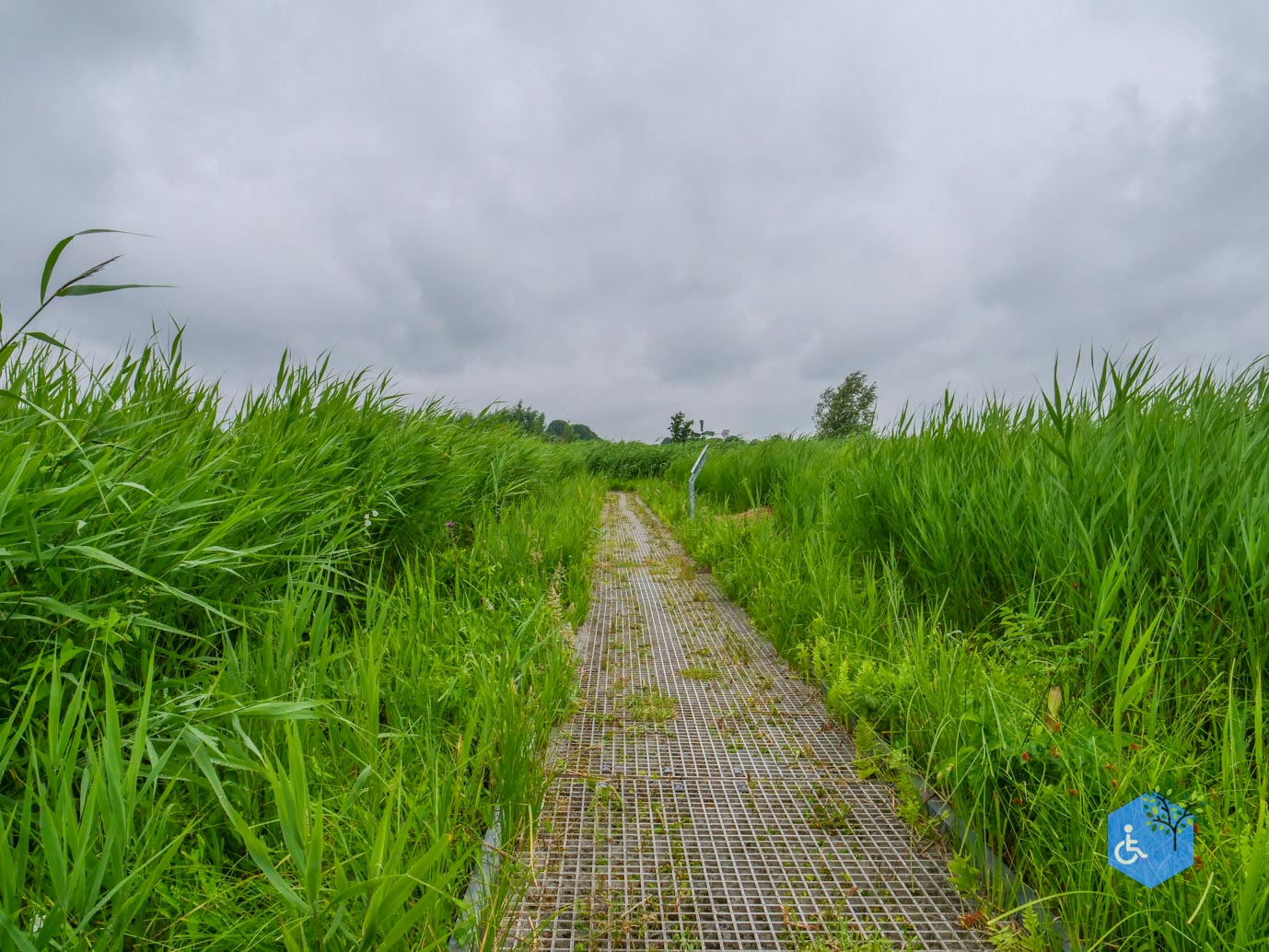 Sint_Jansklooster_Vlonderpad_de_Wieden_06-07-2025-21