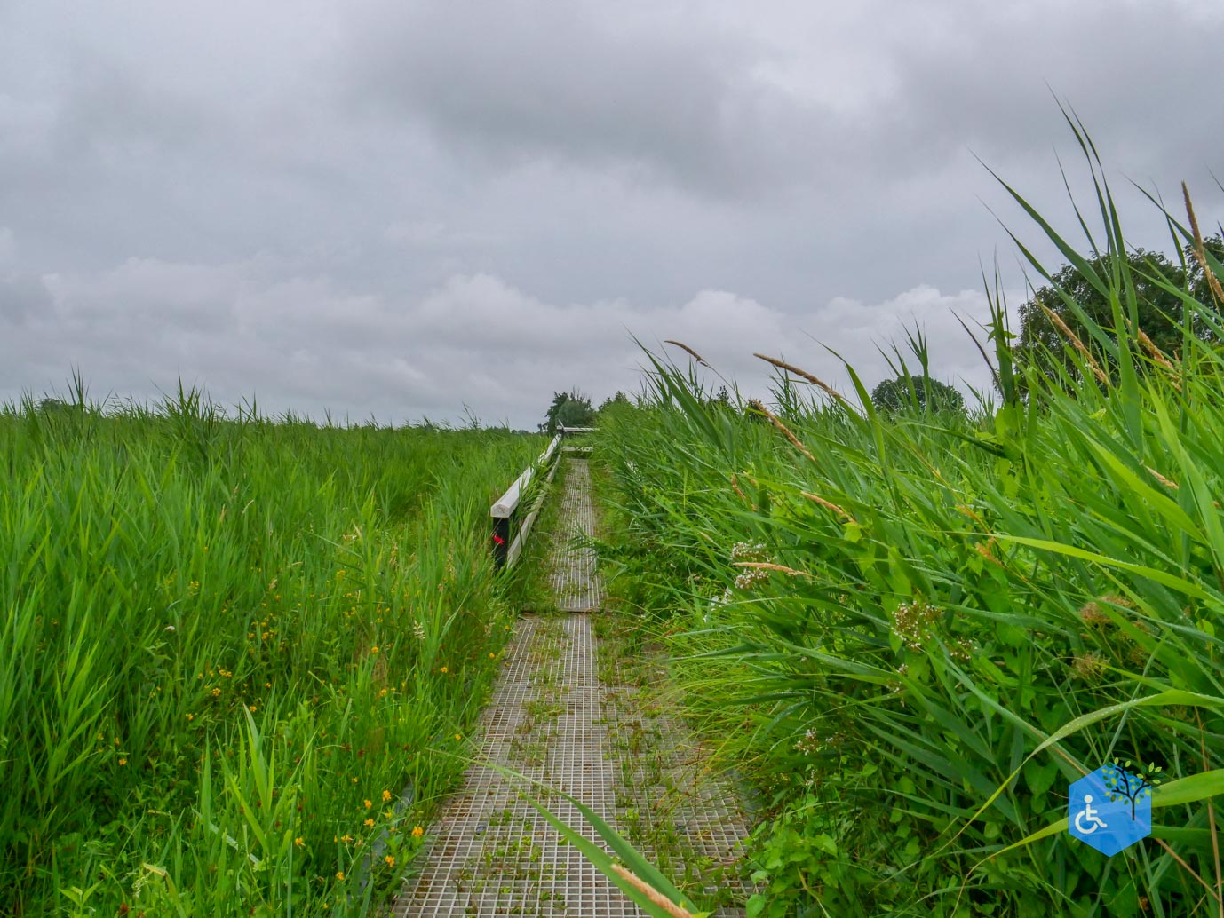 Sint_Jansklooster_Vlonderpad_de_Wieden_06-07-2025-22