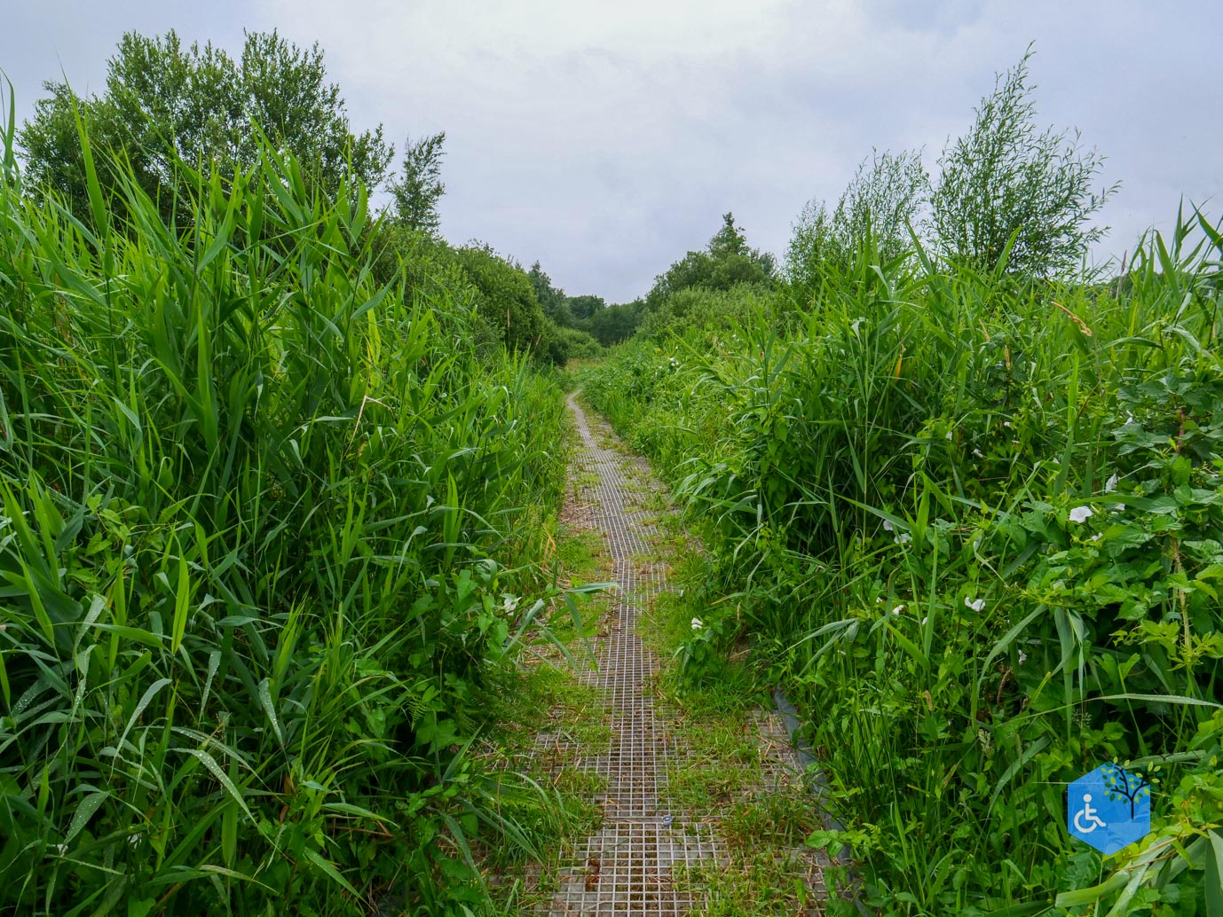 Sint_Jansklooster_Vlonderpad_de_Wieden_06-07-2025-27