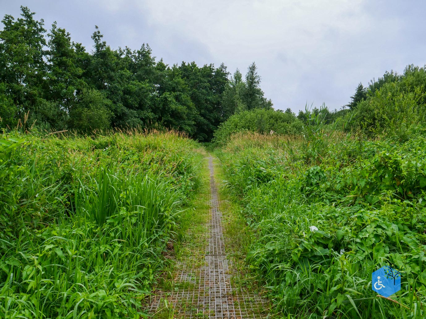 Sint_Jansklooster_Vlonderpad_de_Wieden_06-07-2025-28