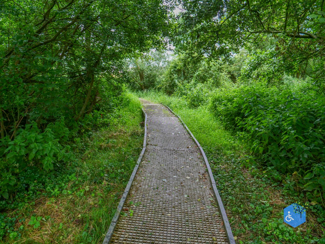 Sint_Jansklooster_Vlonderpad_de_Wieden_06-07-2025-29