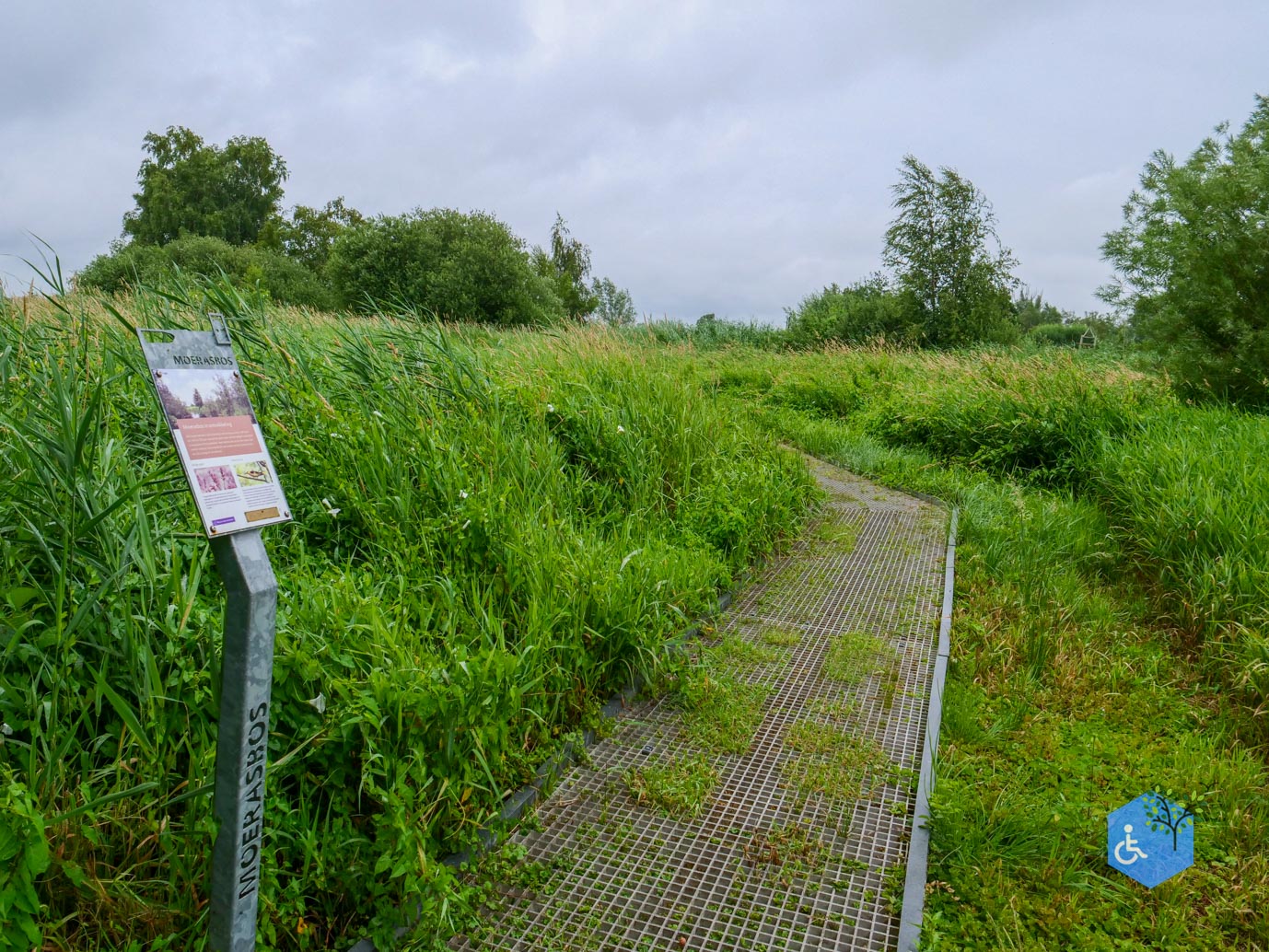 Sint_Jansklooster_Vlonderpad_de_Wieden_06-07-2025-30