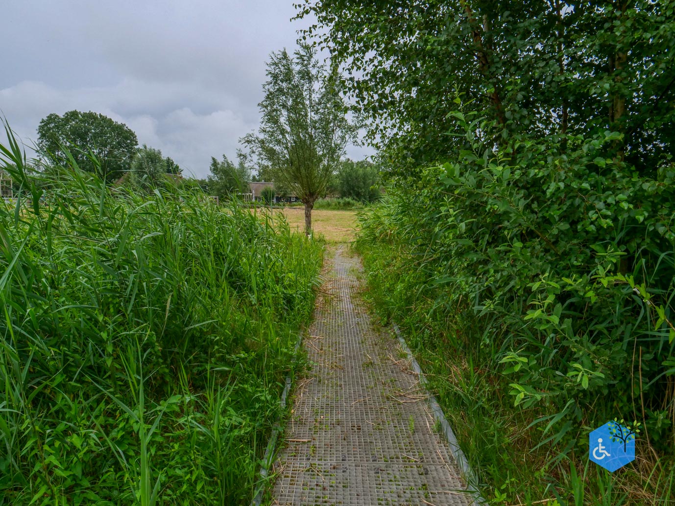 Sint_Jansklooster_Vlonderpad_de_Wieden_06-07-2025-32