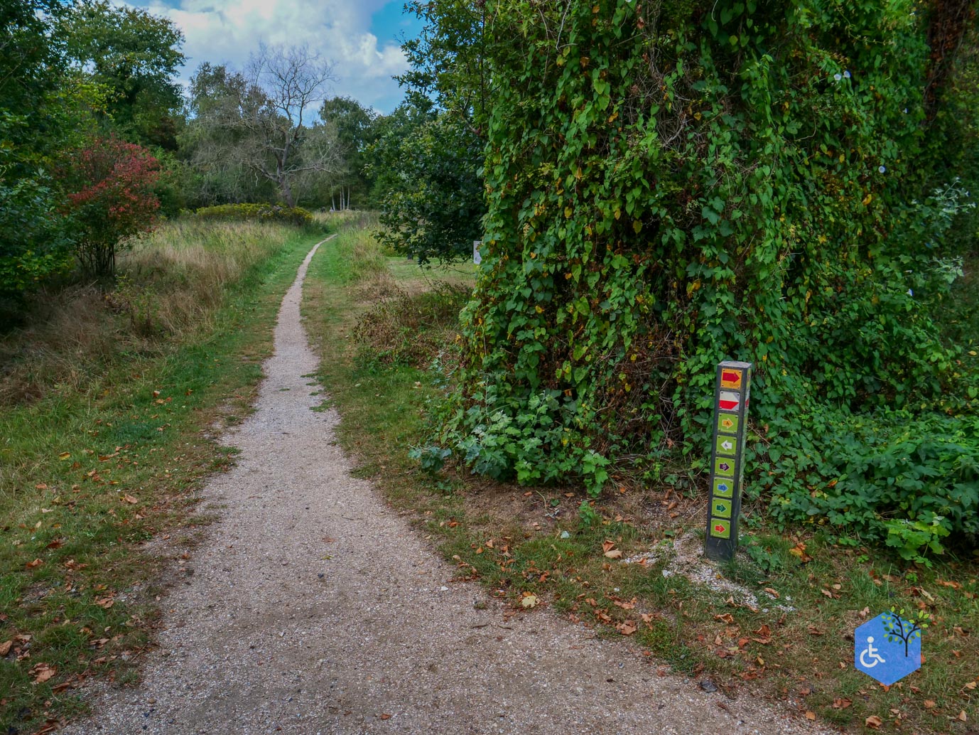 Rockanje_Bosmuisroute_30-08-2025-02