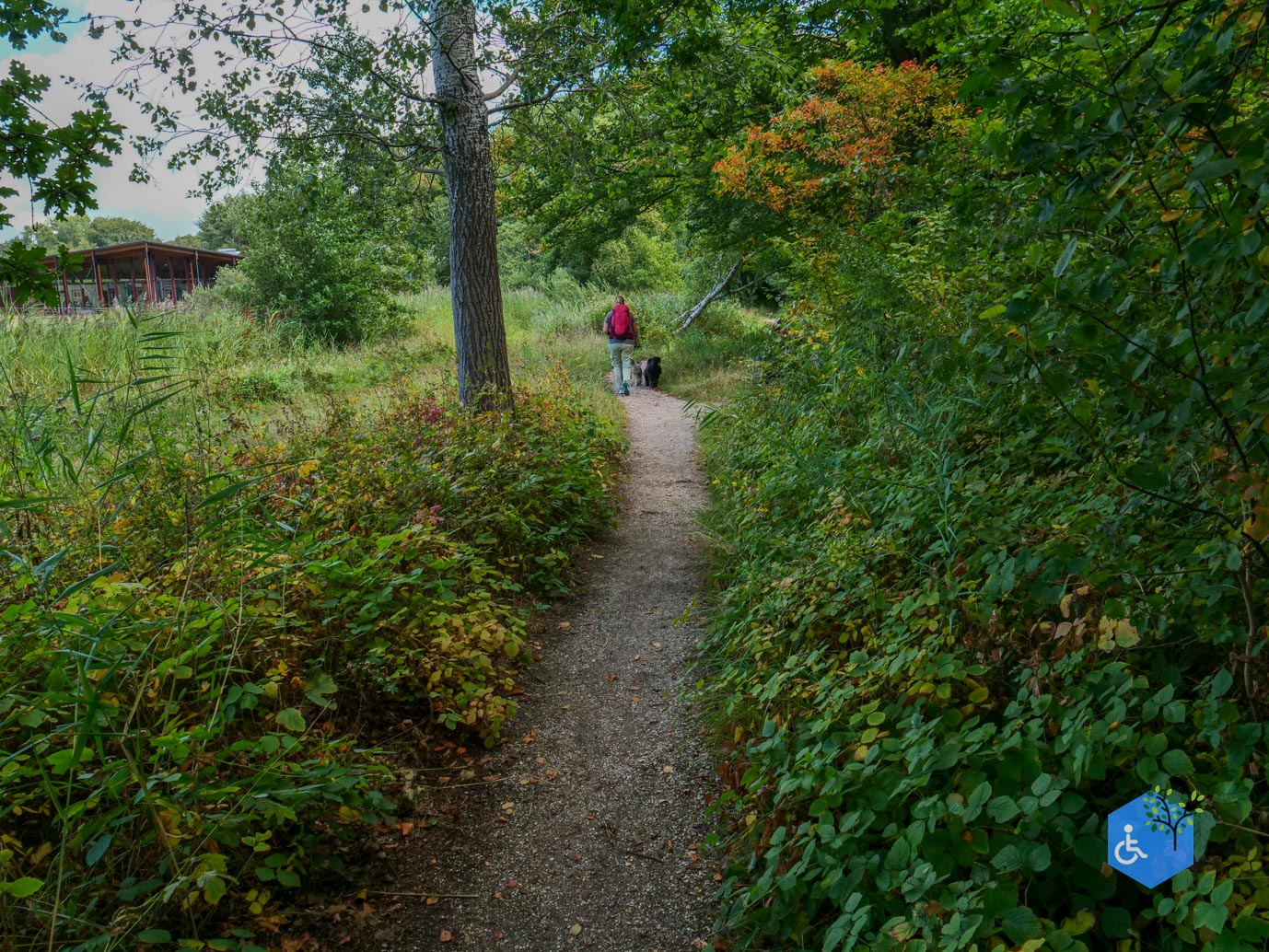 Rockanje_Bosmuisroute_30-08-2025-08