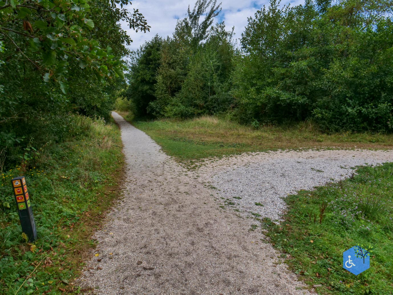Rockanje_Libellenroute_30-08-2025-16