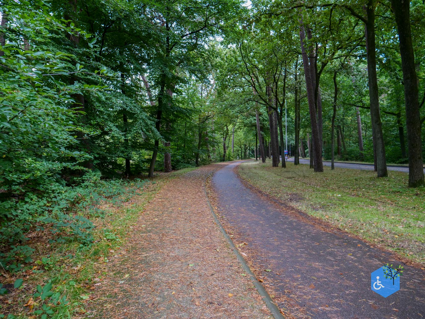 Driebergen_Heidetuin_11-09-2025-03