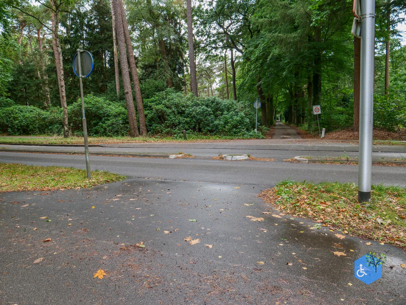 Driebergen_Heidetuin_11-09-2025-05