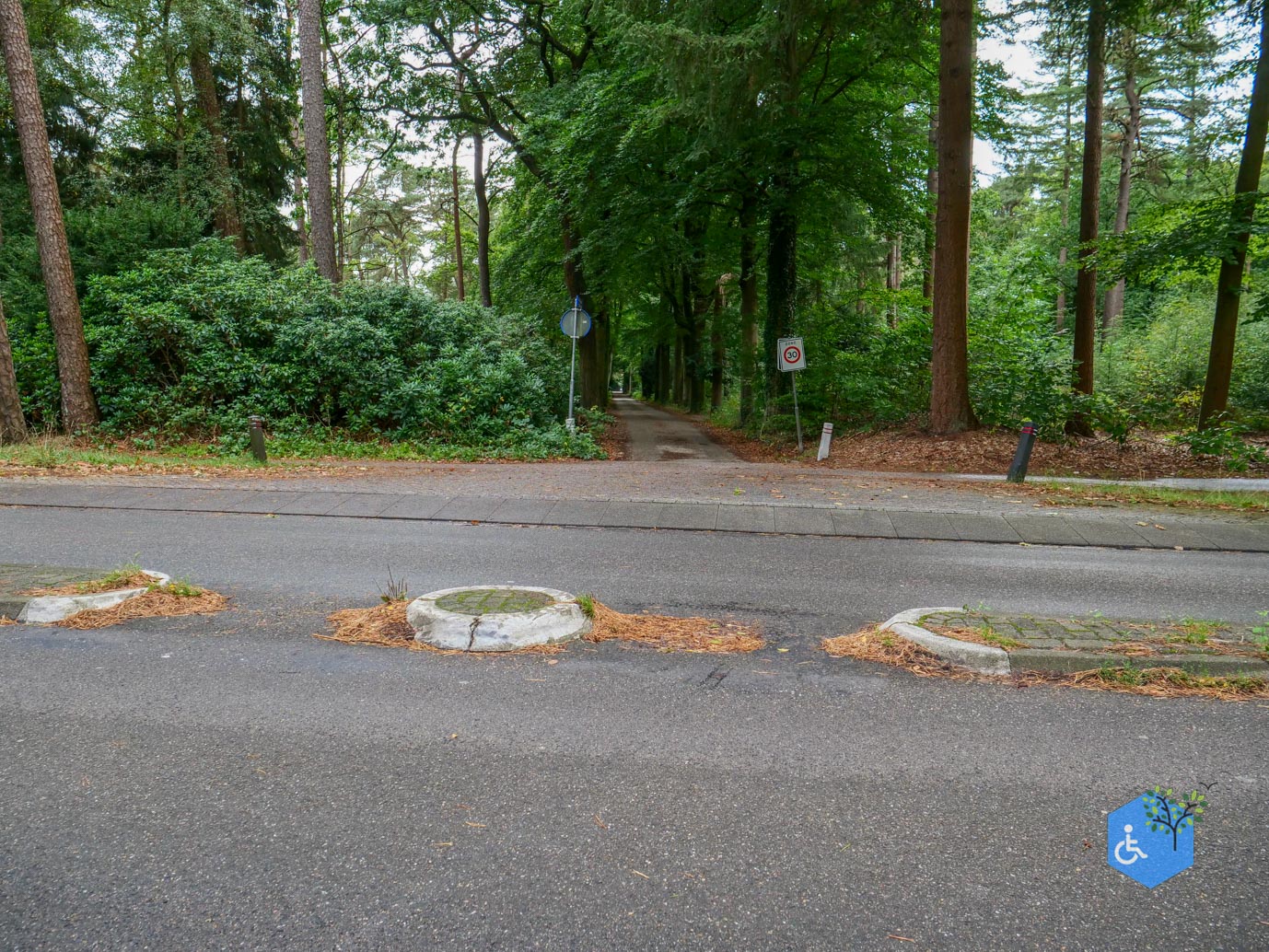 Driebergen_Heidetuin_11-09-2025-06