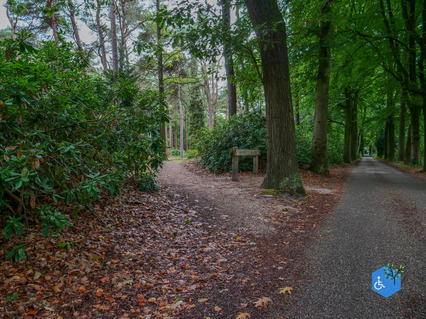 Driebergen_Heidetuin_11-09-2025-07