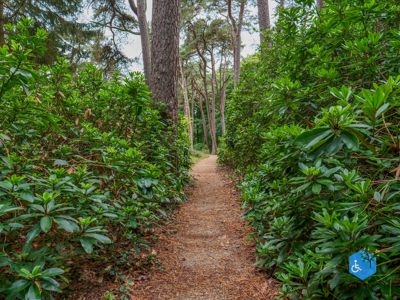 Driebergen_Heidetuin_11-09-2025-10