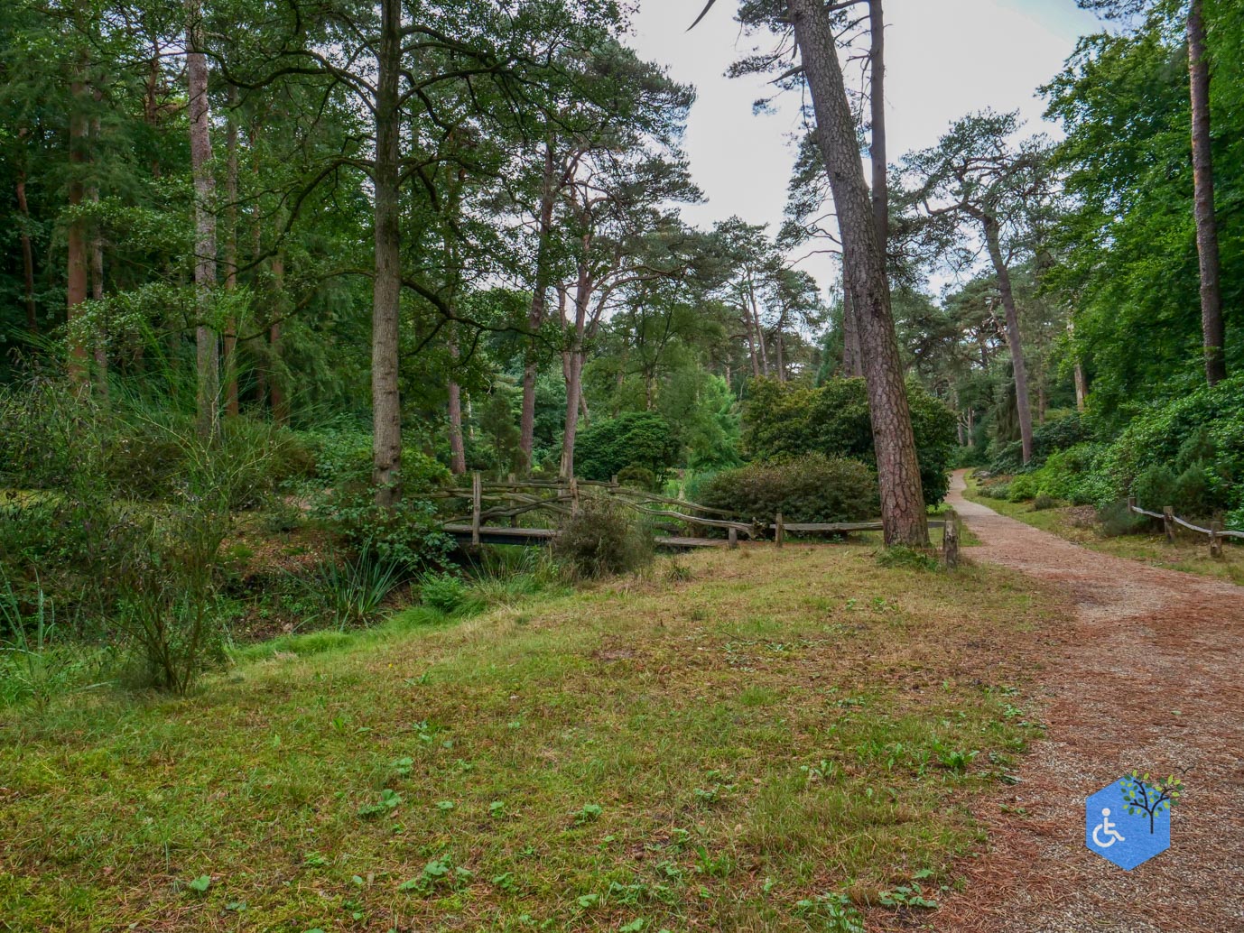 Driebergen_Heidetuin_11-09-2025-11