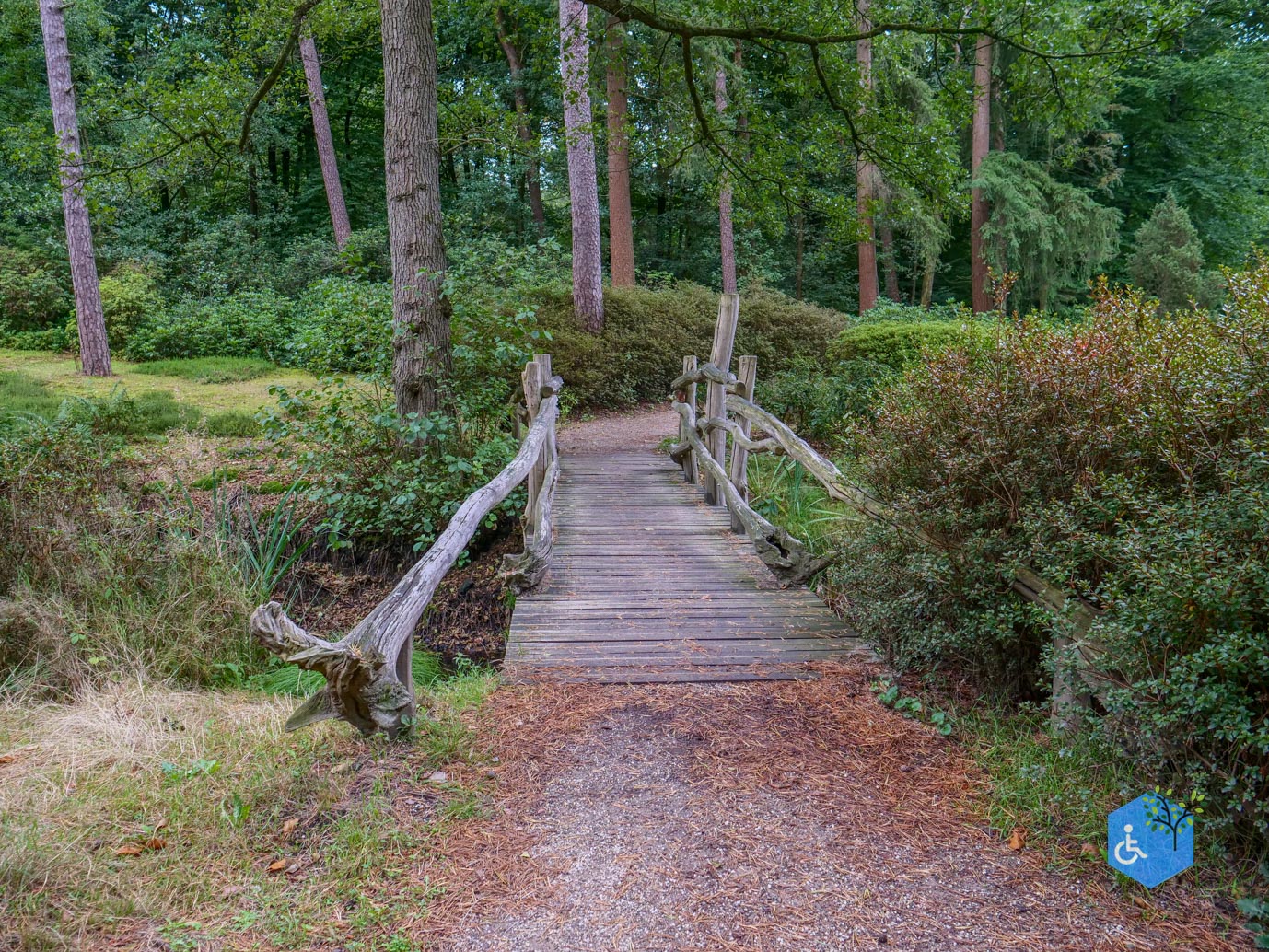 Driebergen_Heidetuin_11-09-2025-12