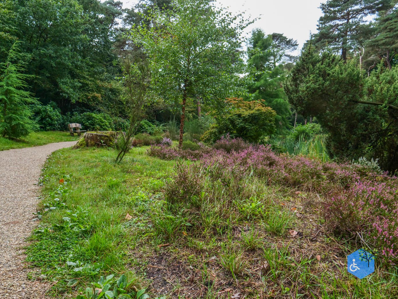 Driebergen_Heidetuin_11-09-2025-17