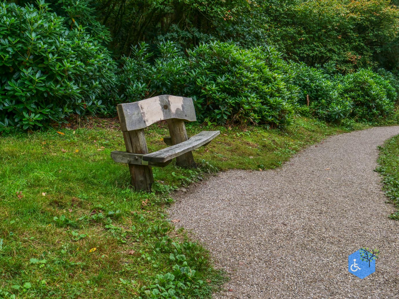 Driebergen_Heidetuin_11-09-2025-18