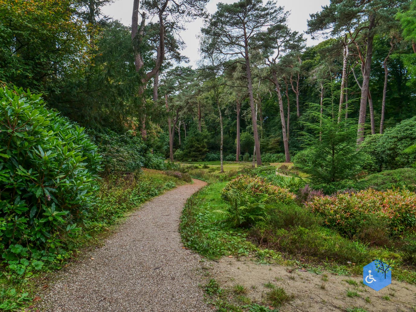 Driebergen_Heidetuin_11-09-2025-19
