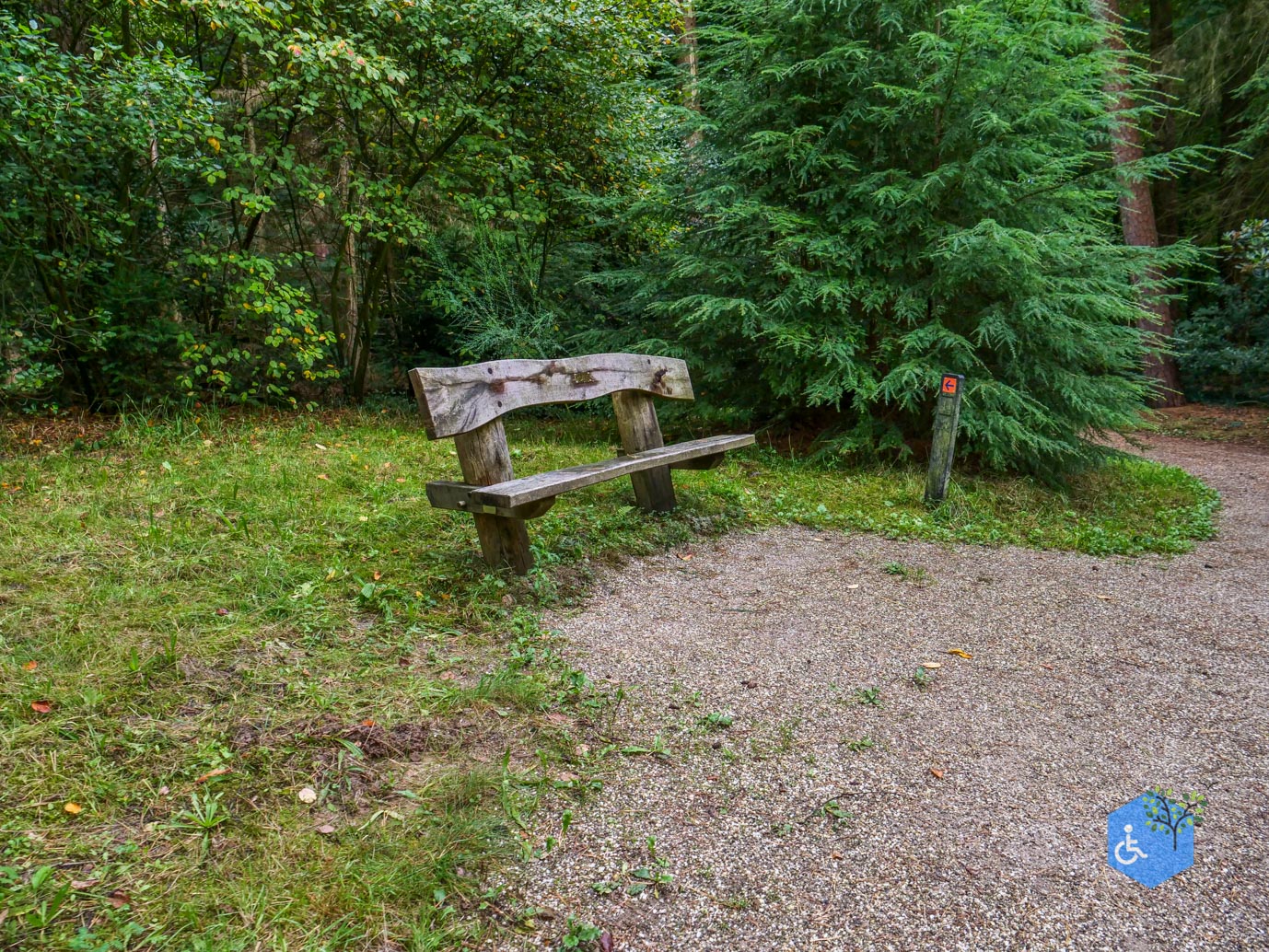 Driebergen_Heidetuin_11-09-2025-22