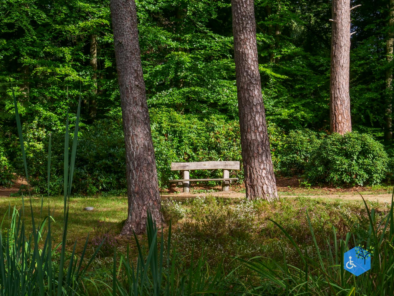 Driebergen_Heidetuin_11-09-2025-30