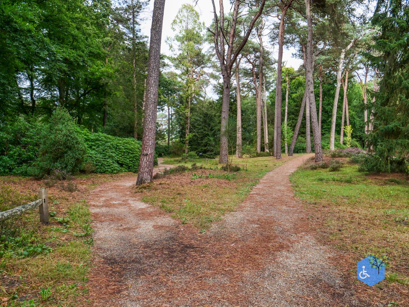 Driebergen_Heidetuin_11-09-2025-31