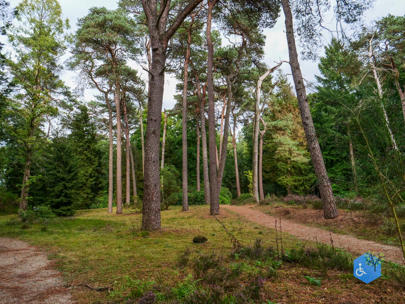 Driebergen_Heidetuin_11-09-2025-32