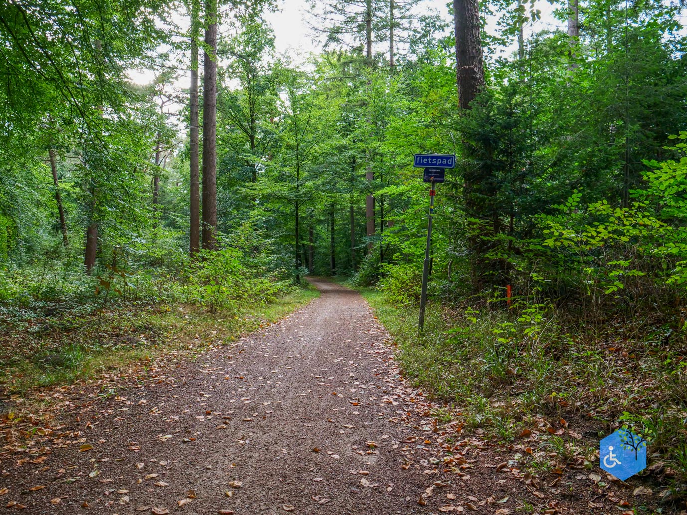 Driebergen_Heidetuin_11-09-2025-34