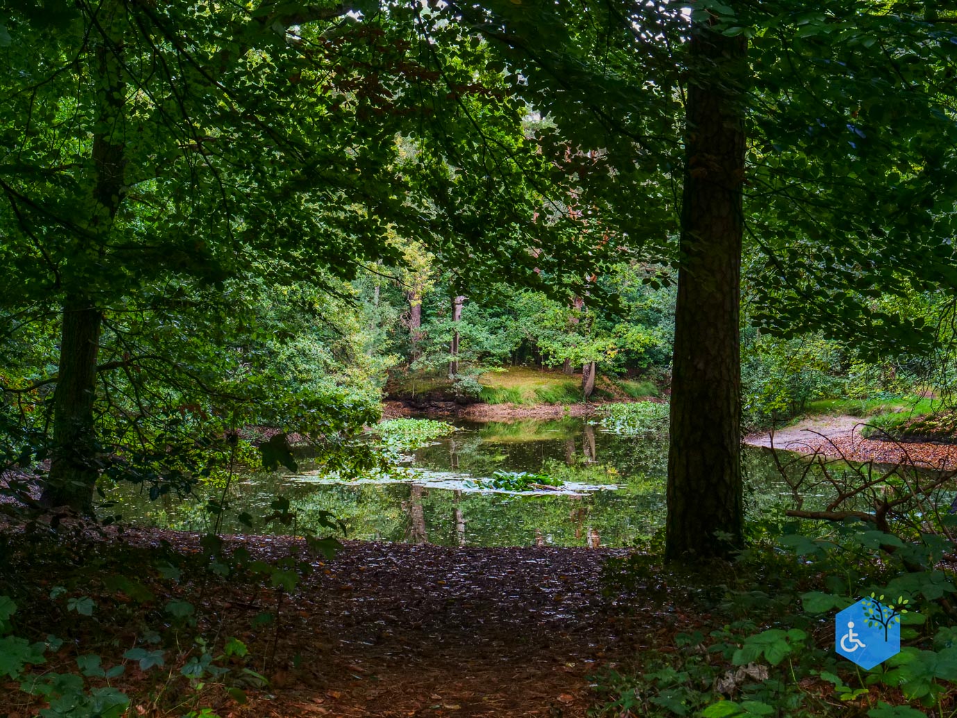 Driebergen_Heidetuin_11-09-2025-36