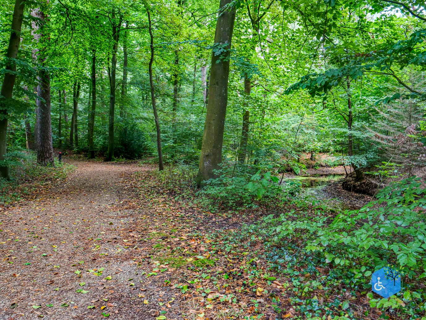 Driebergen_Heidetuin_11-09-2025-37