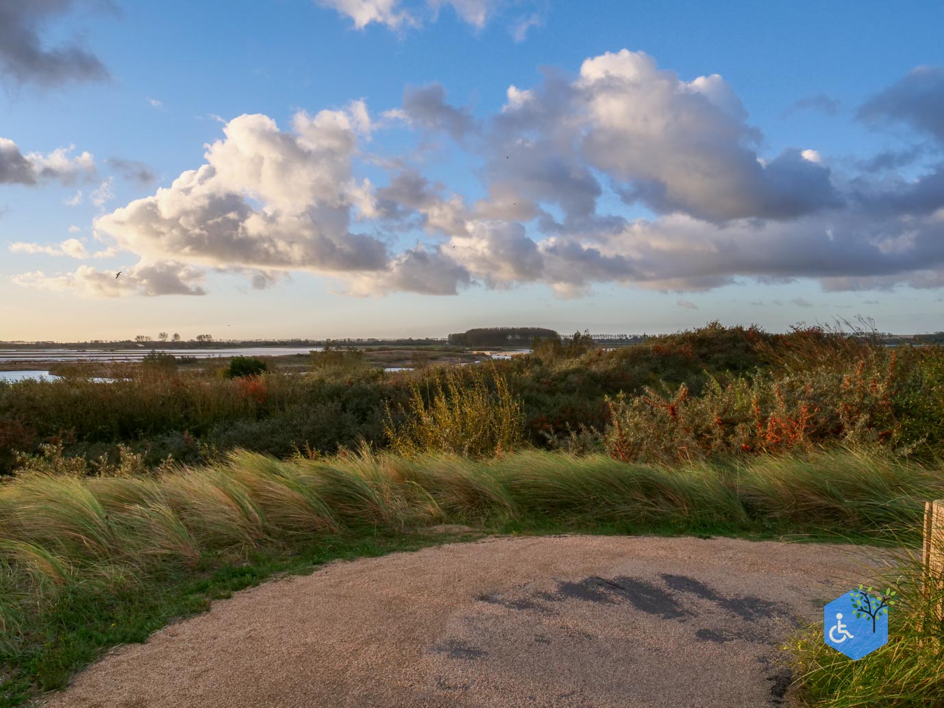 Breskens_Waterdunen_24-10-2025-048