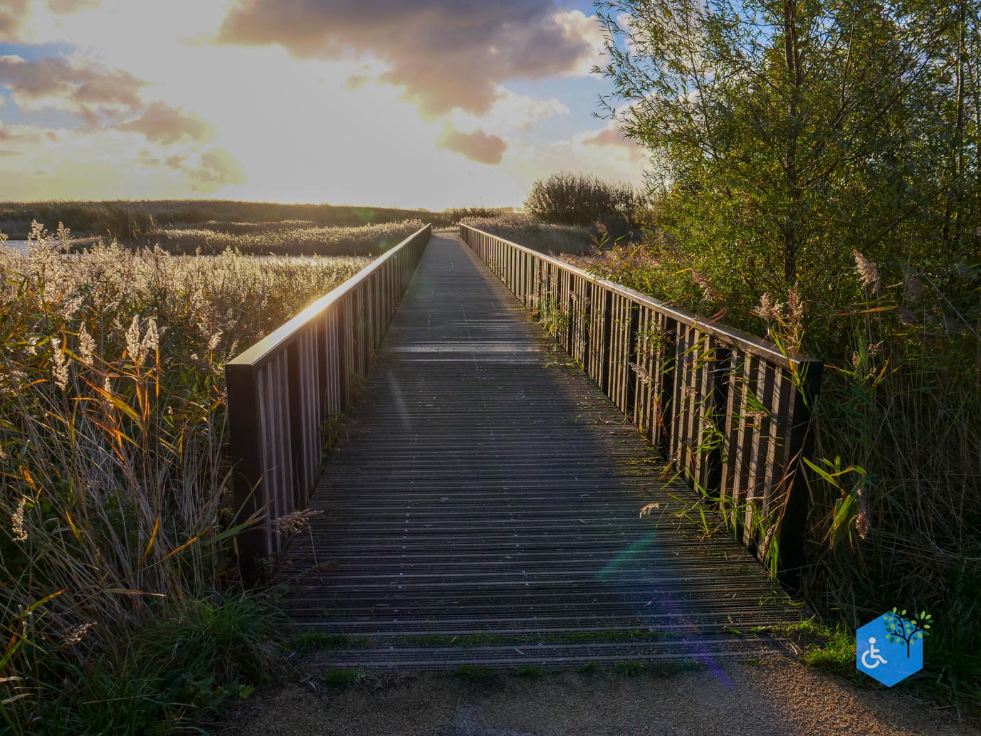 Breskens_Waterdunen_24-10-2025-055