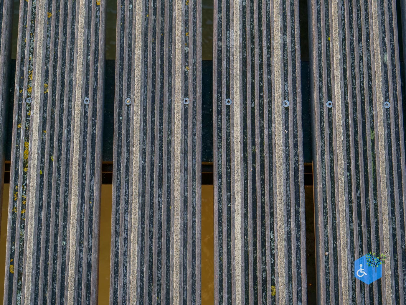 Breskens_Waterdunen_24-10-2025-056