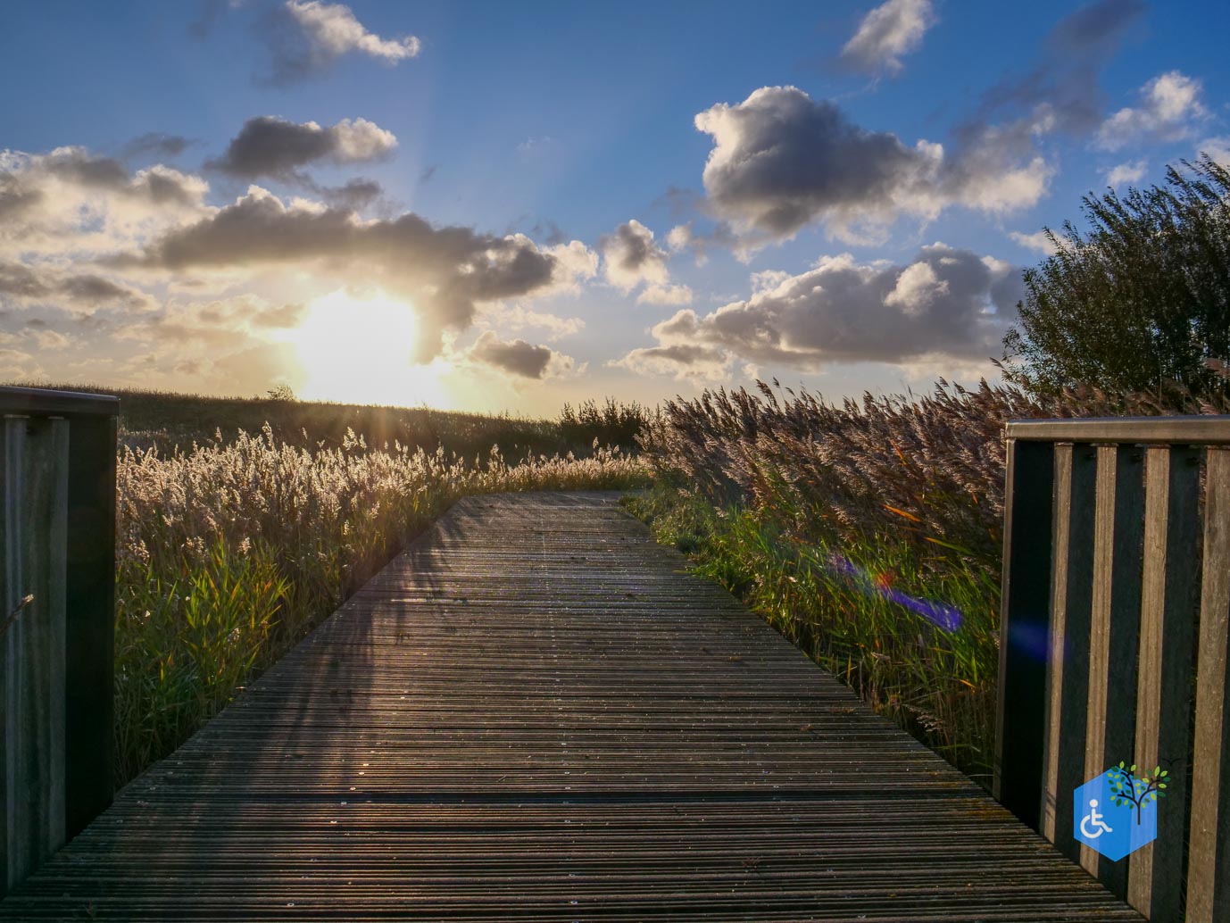 Breskens_Waterdunen_24-10-2025-059