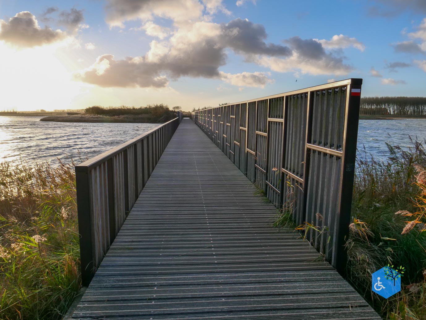 Breskens_Waterdunen_24-10-2025-062